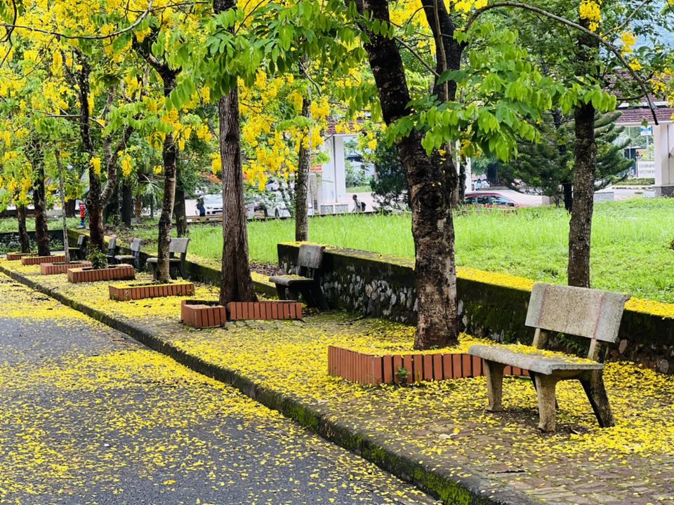 Khuôn viên Trường mùa thu