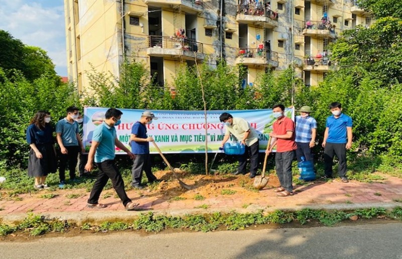 Trường Đại học Tây Bắc hưởng ứng chương trình trồng 1 tỷ cây xanh