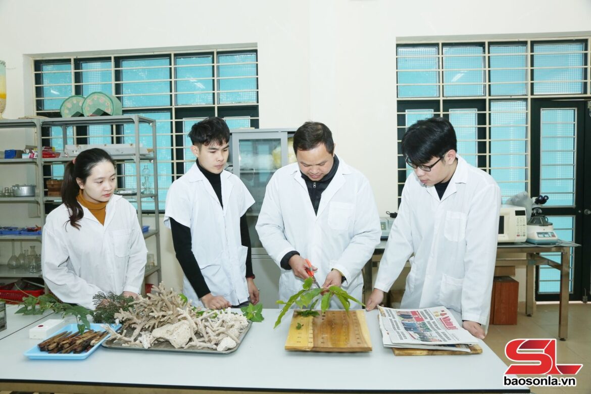 Đẩy mạnh phong trào nghiên cứu khoa học trong sinh viên