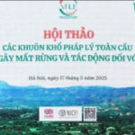 Trường Đại học Tây Bắc tham gia hội thảo: Các khuôn khổ pháp lý toàn cầu về không gây mất rừng và tác động đối với Việt Nam